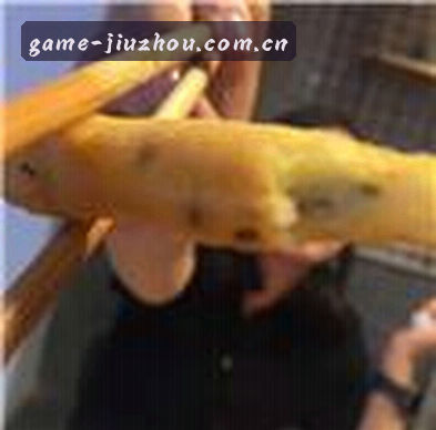赵强